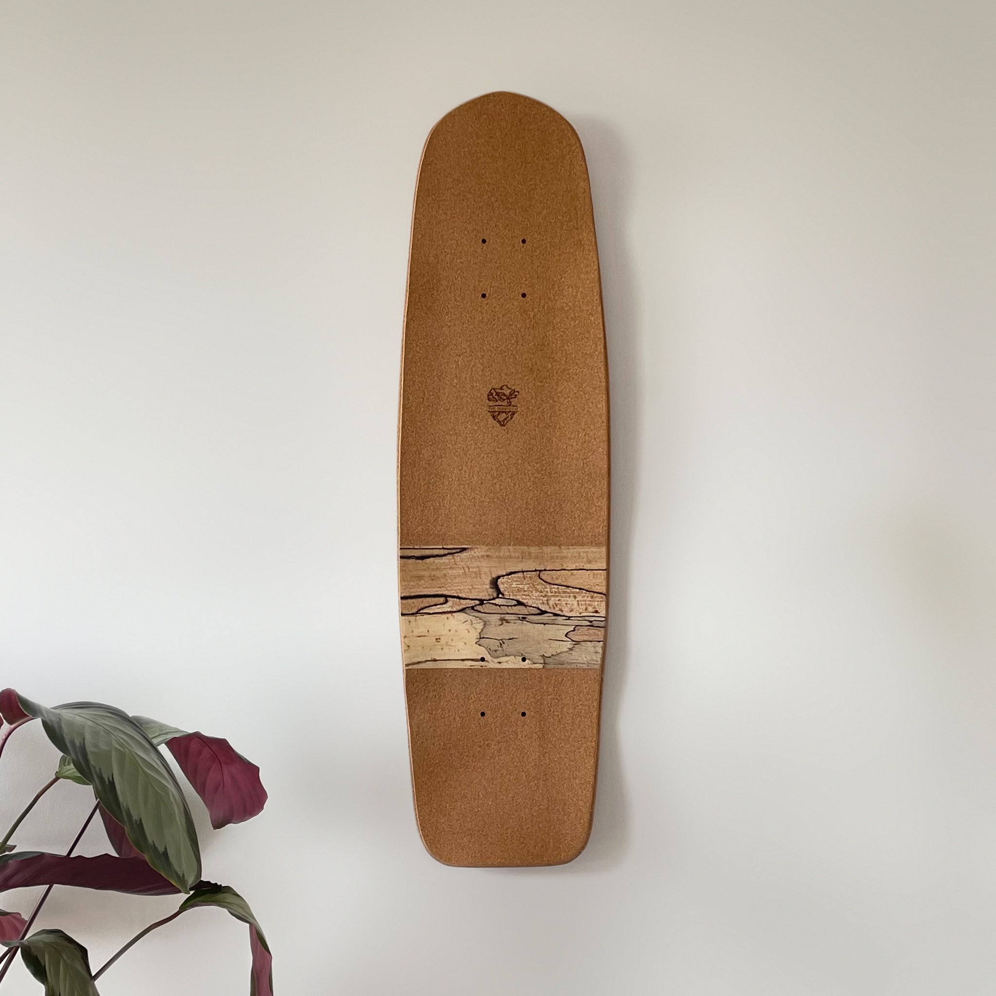 Skateboard Notice Board - Spalted Beech