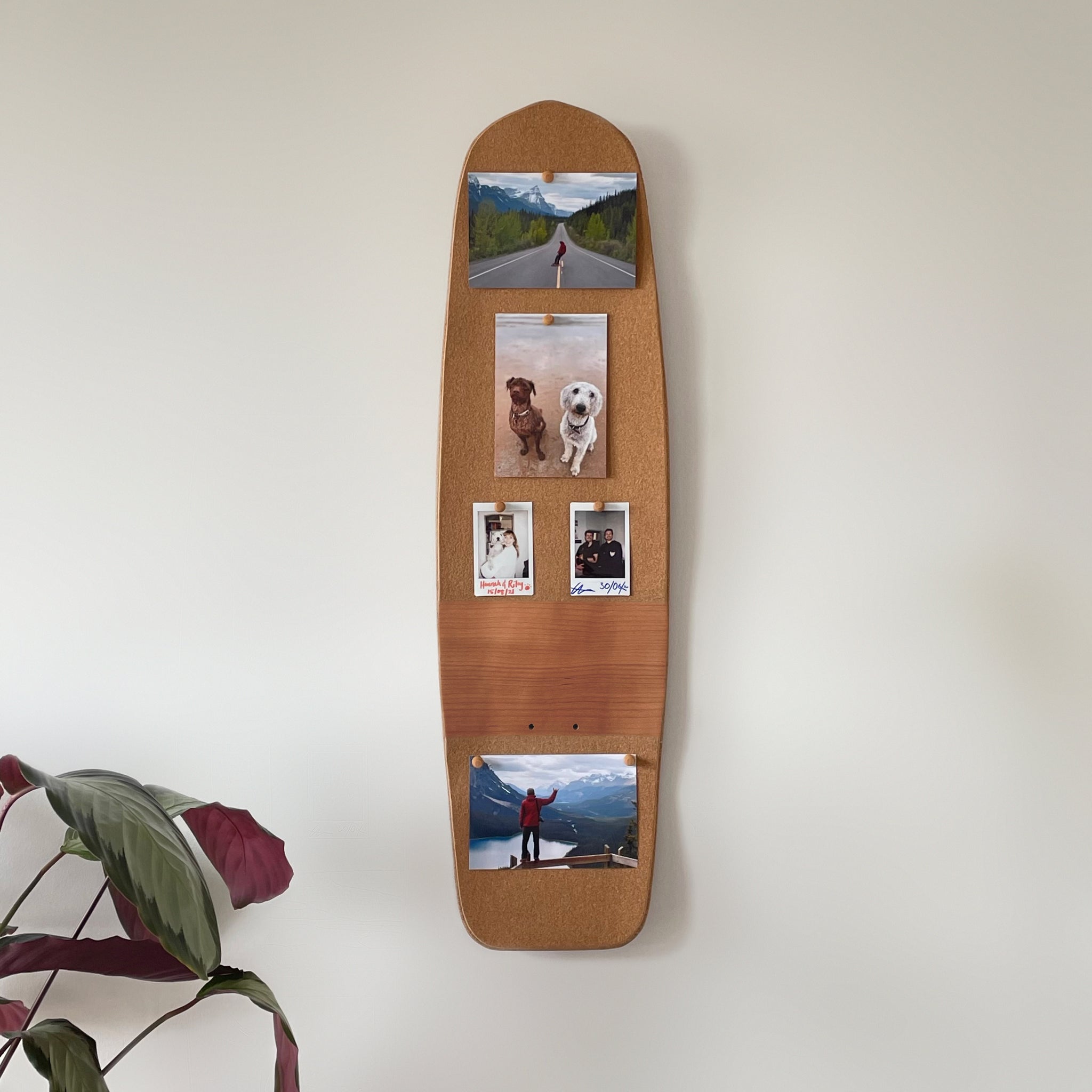 Skateboard Notice Board - Wild Cherry