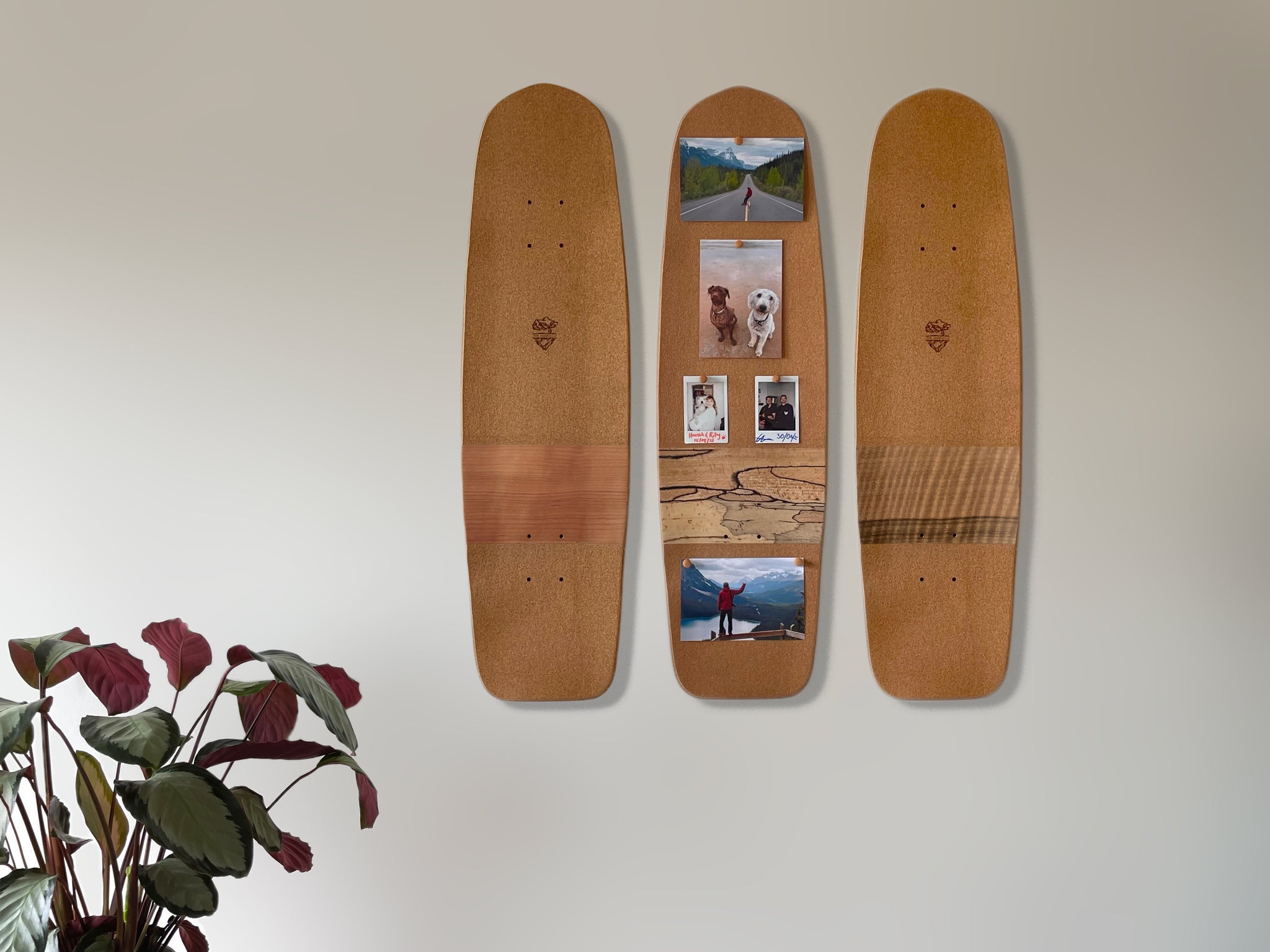 Skateboard Notice Board - European Walnut